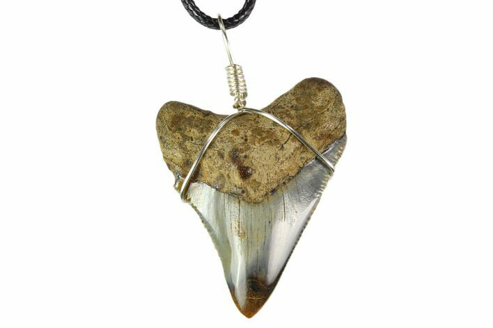 Fossil Megalodon Tooth Necklace - Serrated Blade #130377